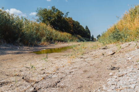 Ab Donnerstag, den 6. August ist es untersagt, Wasser mithilfe von elektrischen oder mechanischen Pumpen sowie Saugvorrichtungen zu entnehmen oder fahrbare Behälter damit zu befüllen © Adobe.stock.com - Oleksandr Baranov